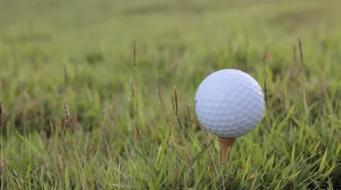 Golf in grass, video Stock-Footage 45889956
