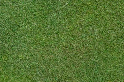 Golf green close up Stock-Fotos