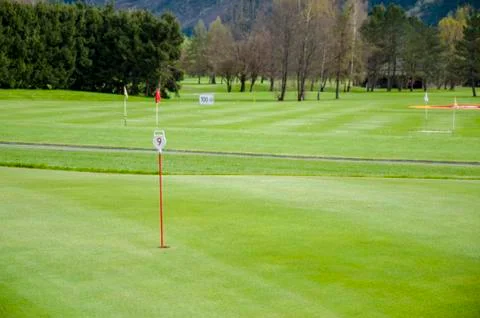 Golf green closeup Stock Photos