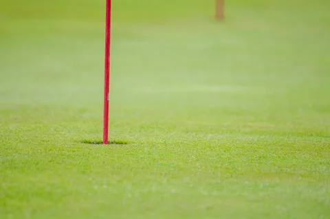 Golf green closeup Stock Photos