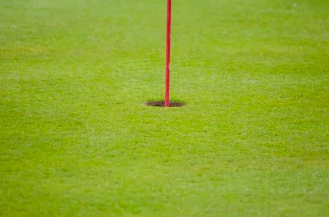 Golf green closeup Stock Photos