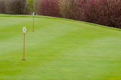 Golf green closeup Stock Photos
