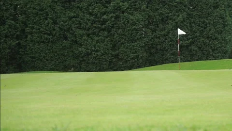 Golf Green flag blowing in wind Stock Footage 139244401