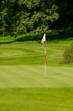 Golf green with flag Stock Photos