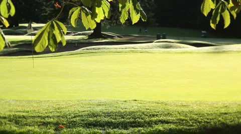 Golf Green Stock Footage 1099108