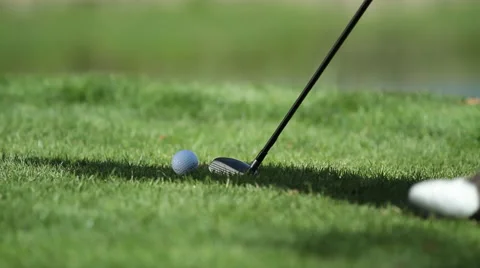 Golf on the Green 库存影片 62208027