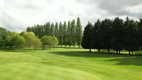 Golf green with hole position marked by flag on pole Stock Footage 155810130