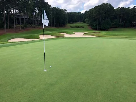 Golf green looking back at tee Stock Photos