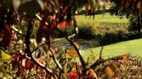 Golf Green pan Vidéo 20495970