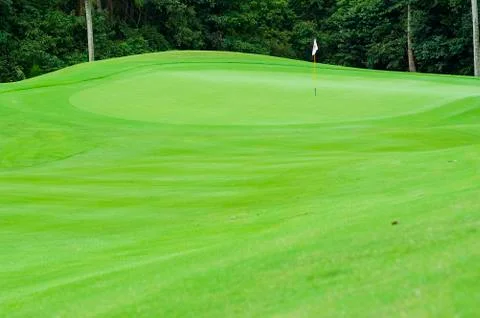 Golf green Stock Photos