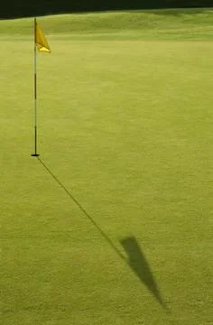 Golf green Stock Photos