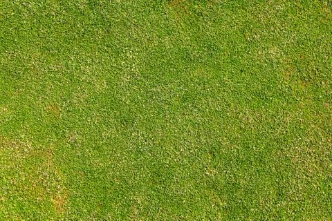 Golf green Foto stock