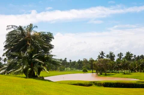 Golf greens Foto stock