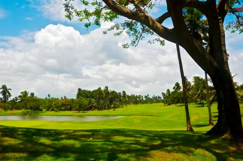 Golf greens Stock Photos