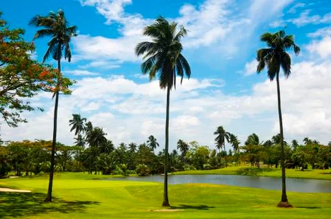 Golf greens Stock-Fotos
