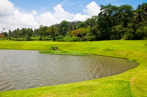 Golf greens 스톡 사진