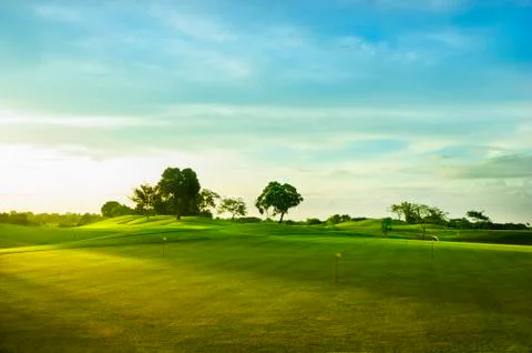 Golf greens Stock Photos