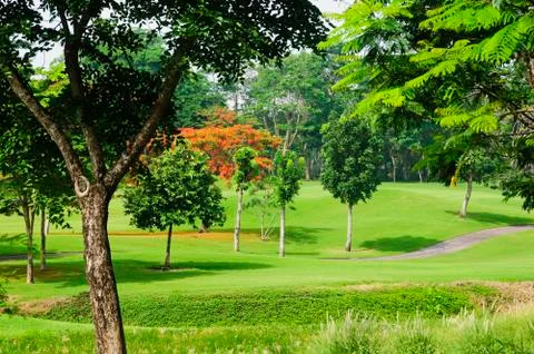 Golf greens Stock Photos