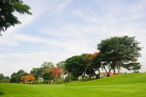 Golf greens Stock Photos