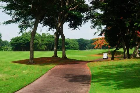 Golf greens Foto stock