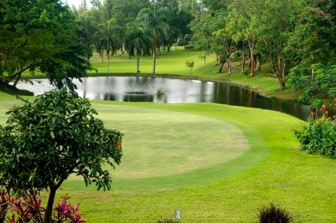 Golf greens Foto stock
