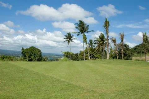 Golf greens Foto stock