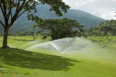Golf greens Stock Photos