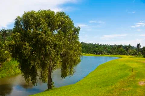 Golf greens Stock Photos