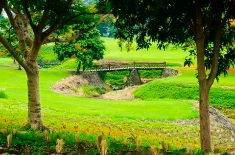 Golf greens Foto stock