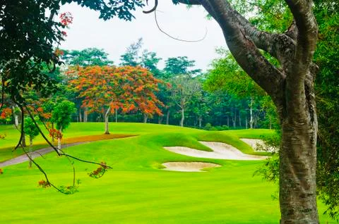 Golf greens Stock-Fotos