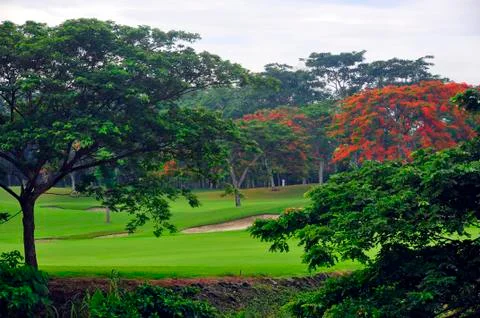 Golf greens Stock-Fotos
