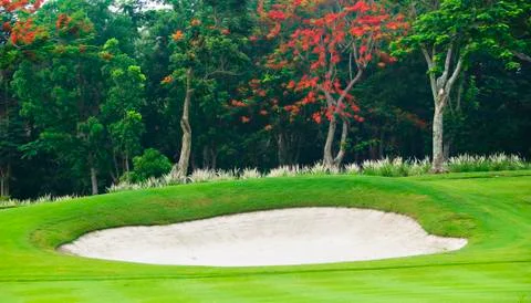 Golf greens Stock Photos