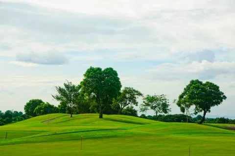 Golf greens 스톡 사진