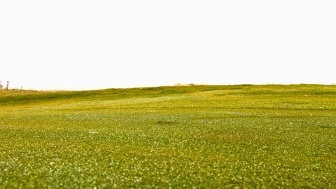Golf hit the ball golf ball stand 12 Stock Footage 120773771