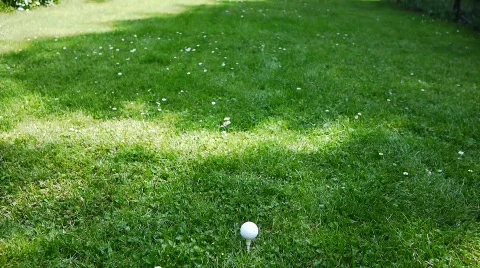 Golf Hit Meadow 2 Stock Footage 775682