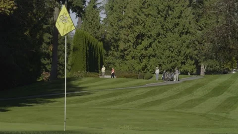Golf. Hitting ball from a tee. Stock-Footage 142598916