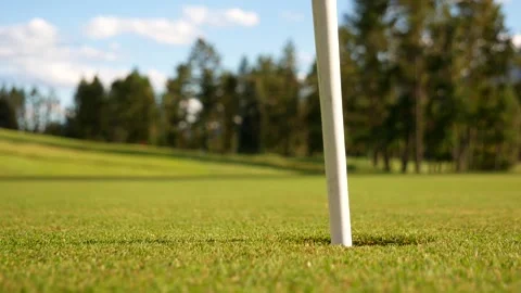 Golf Hole with Flag close up Stock Footage 278809141