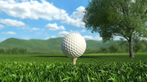 Golf: Hole in One Vídeo Stock 37148621
