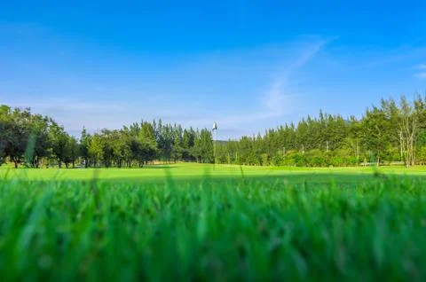 Golf hole Stock Photos