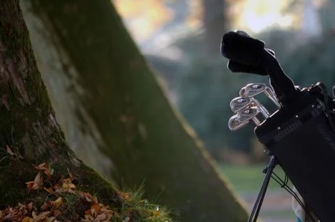 Golf nature 写真素材