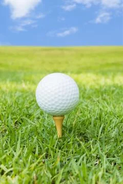 Golf Stock Photos
