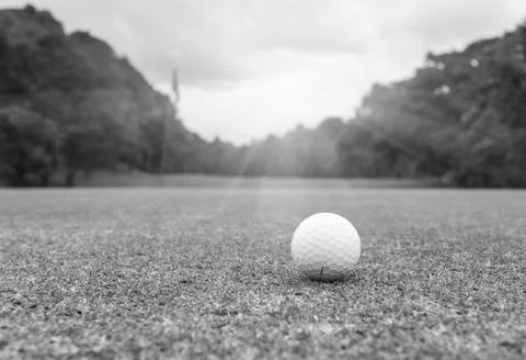 Golf Stock Photos