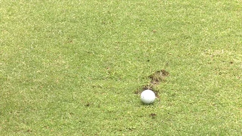 Golf pitch shot Stock Footage 80509159