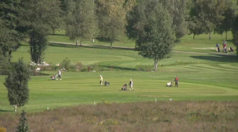 Golf play Video stock 583779