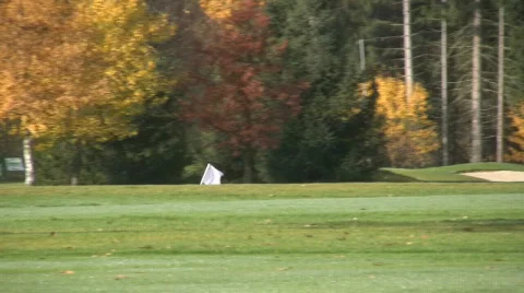 Golf play Stock Footage 590695