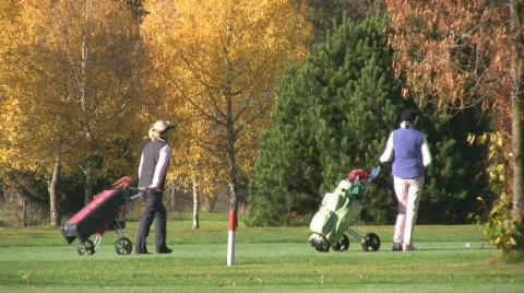 Golf play Stock Footage 590812