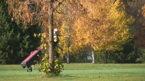 Golf play Stock Footage 590819