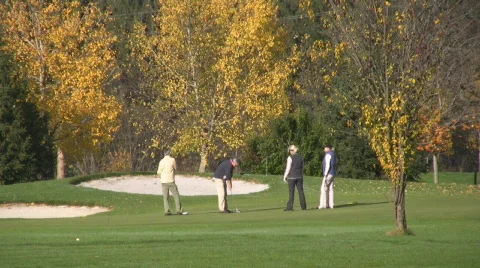 Golf play Stock Footage 590837