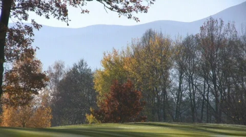 Golf play Stock Footage 590889
