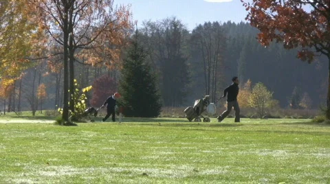 Golf play Stock Footage 591501